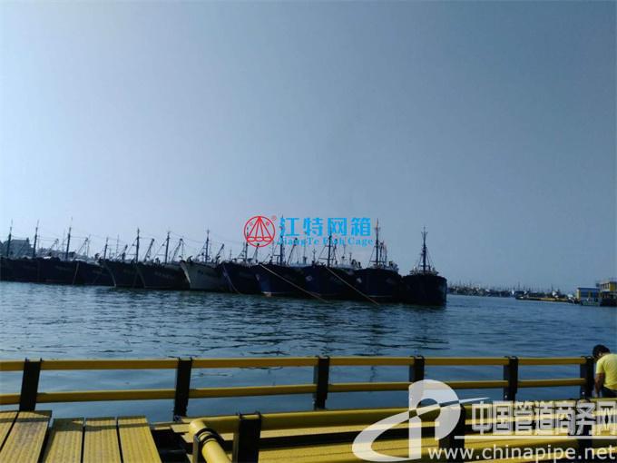 廣東深?？癸L(fēng)浪網(wǎng)箱